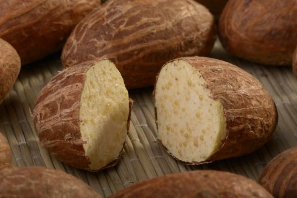 Kola Nut Exports from Belgium Seen Doubling